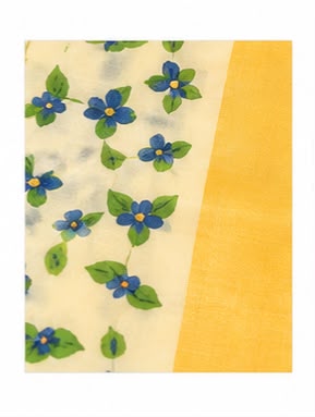 Traditional Tissue Dhavani Set | Floral Border Kerala Half Saree